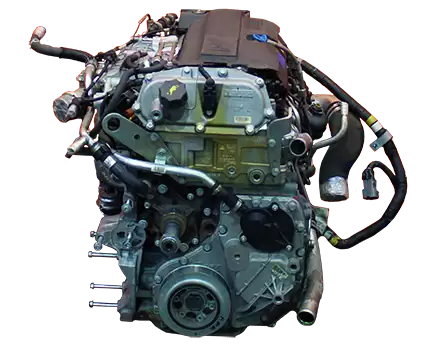 BannerImage